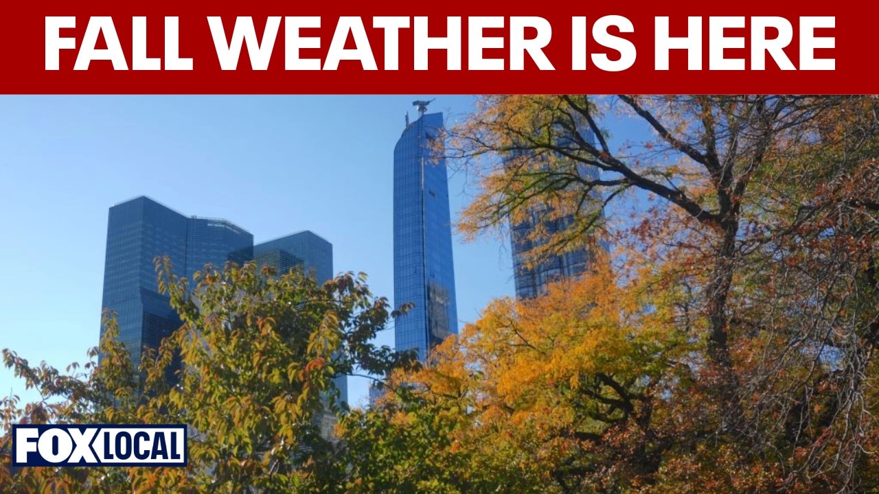 Cool and damp conditions expected as summer gives way to fall