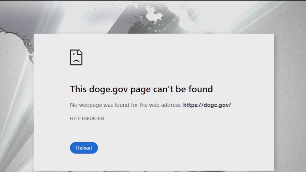 DOGE ceases operations