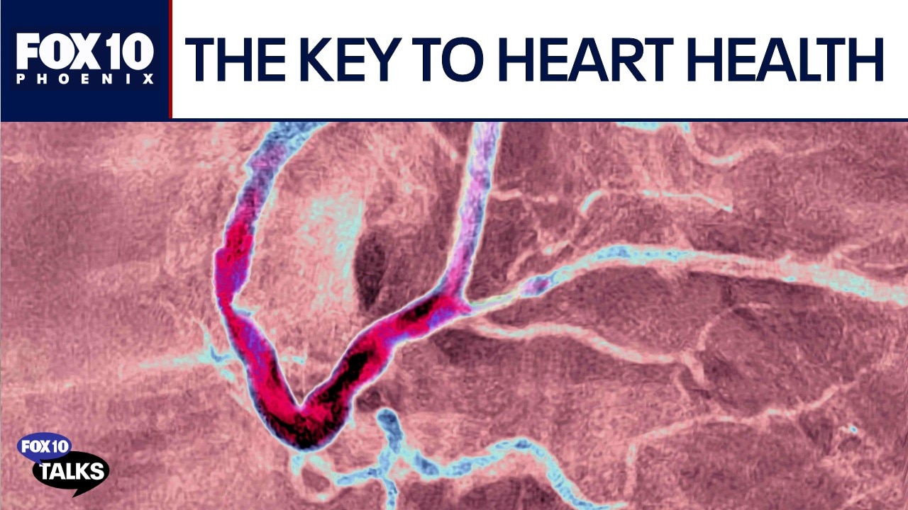 A doctor's guide to achieving long-term cardiovascular health | FOX 10 Talks 