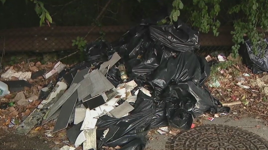 Yonkers blames NYC for illegal dumping on Major Deegan Expressway