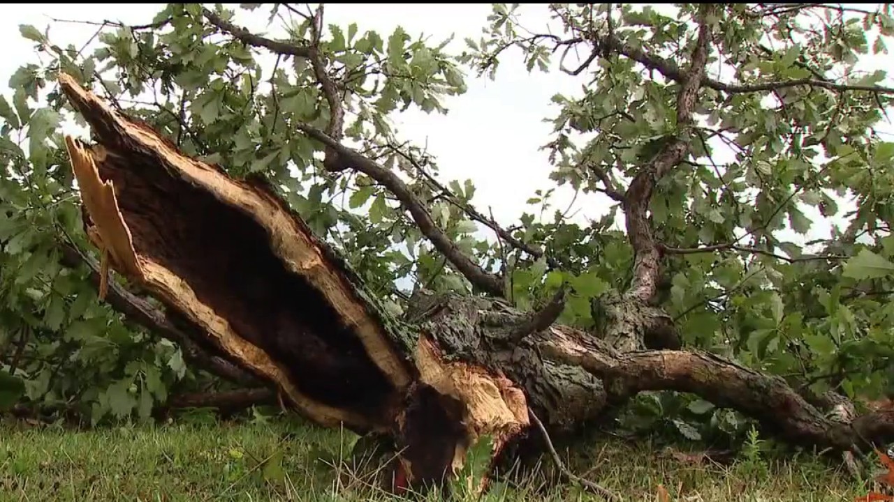 Volunteers across Metro Detroit clean up, rebuild after tornado and storms