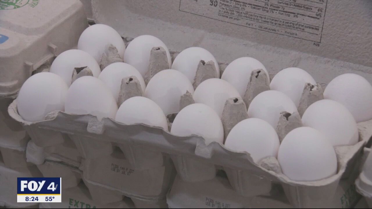 Egg Substitutes