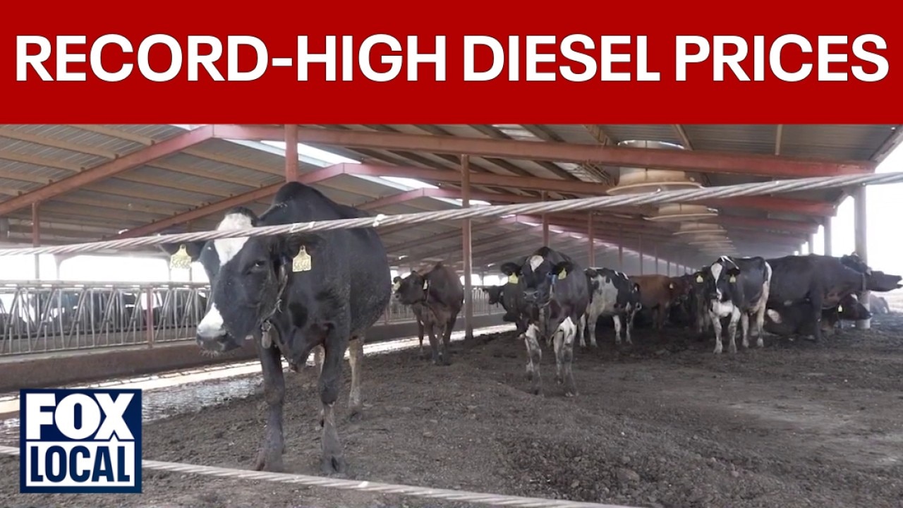 Diesel prices skyrocket just before fall harvest season