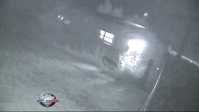 WANTED: Fourth of July Firebug