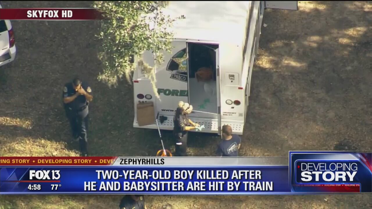 Toddler hit by train died in Pasco County