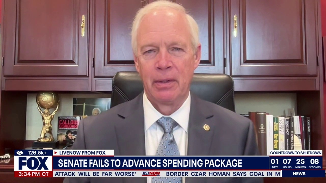 Senator Johnson on possible shutdown, ICE & Noem 