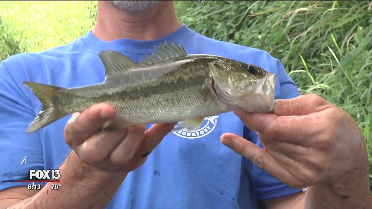 Mote Marine work on canals