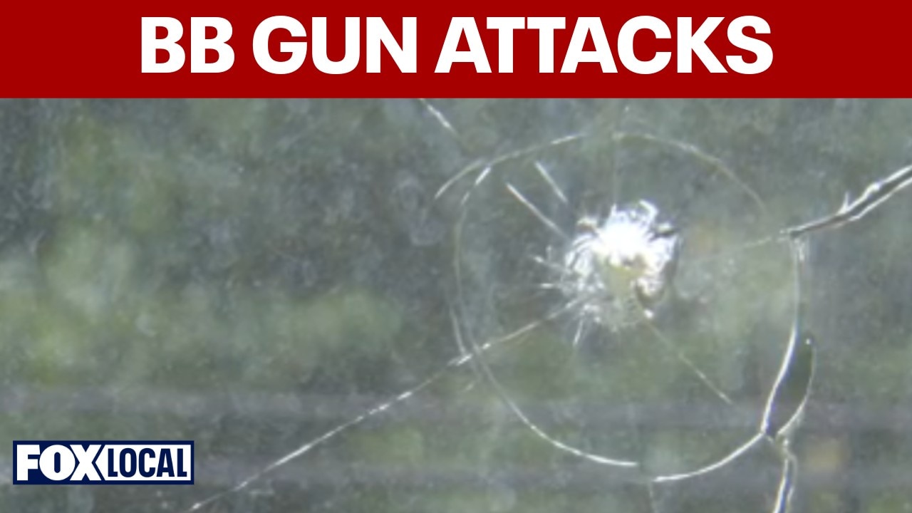 American flag may be target in BB gun attacks on Laurel home