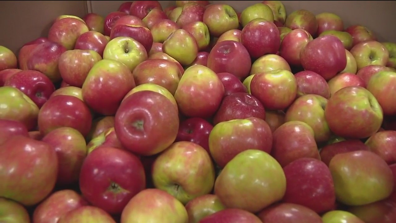 Sense of safety in Oakland & SNAP shutdown | Take 2 Tonight