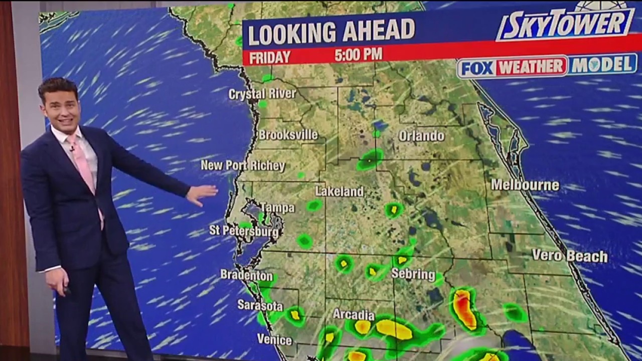 Tampa weather | Friday noon forecast