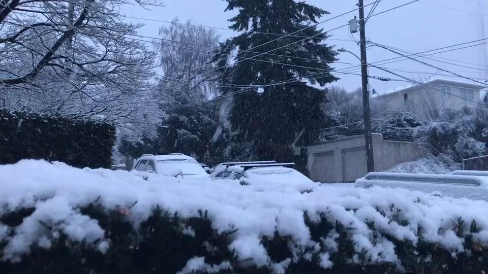 Snow in Seattle