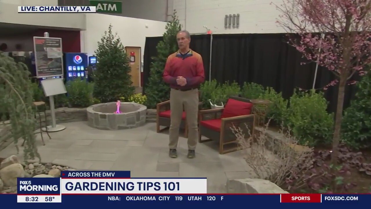 Fun at the Capital Remodel & Garden Show Returns to Dulles Expo Center