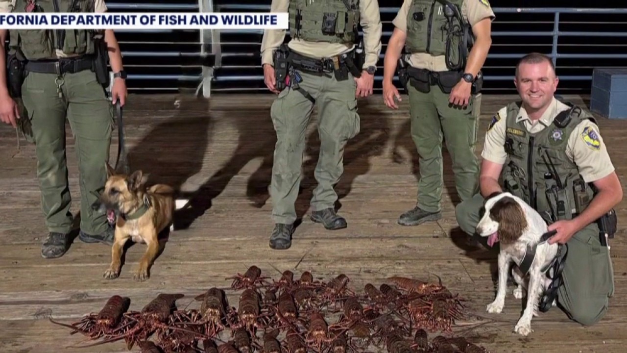 6 accused of poaching lobsters in Santa Monica arrested