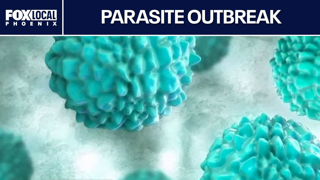 Cyclospora parasite outbreak sparks foodborne illness warning