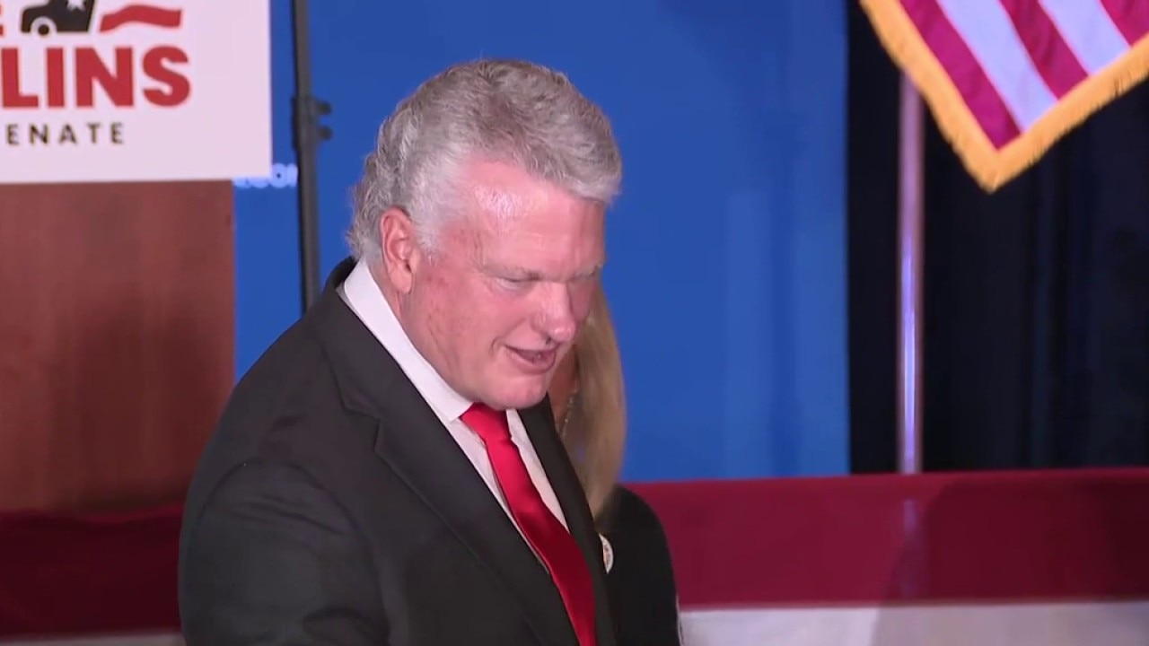 Georgia Senate primary race positions for runoff