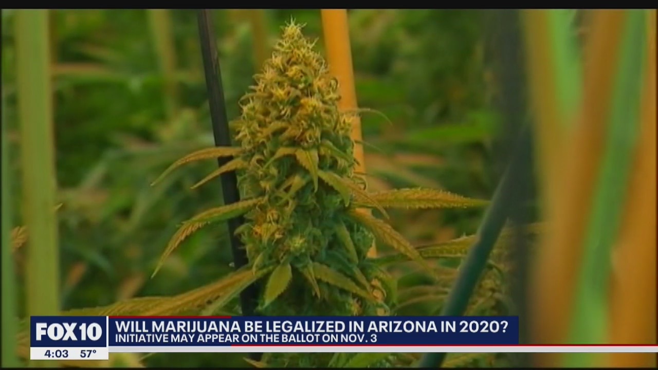 Voters could vote on marijuana legalization initiative this November