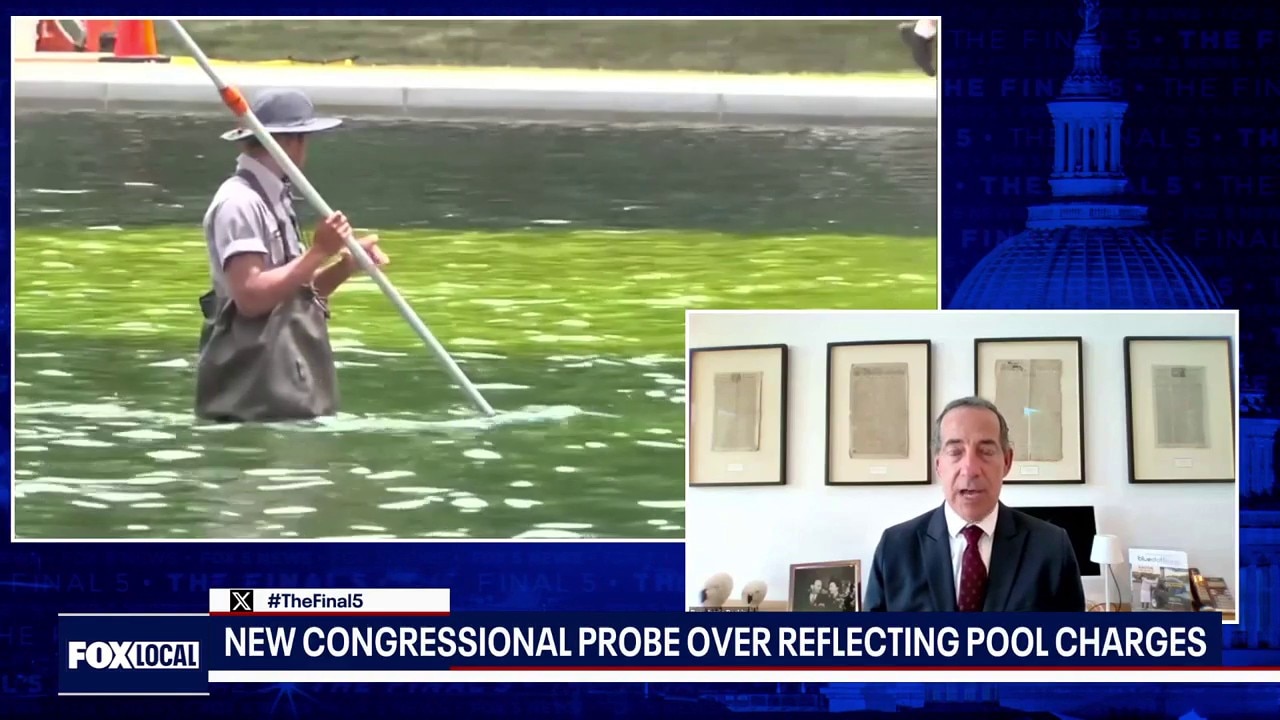 Raskin seeks investigation into Reflecting Pool vandalism case