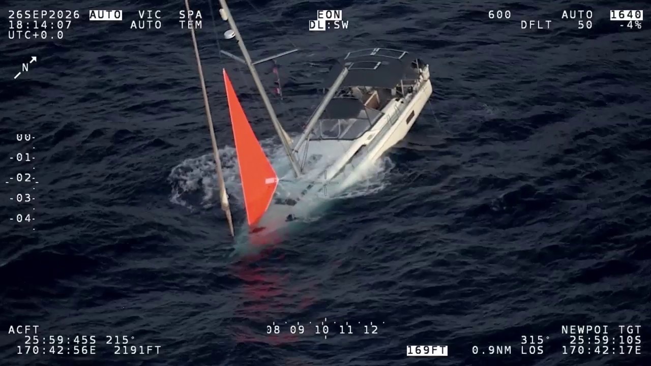 Yacht sinks after hitting pod of whales in Pacific Ocean