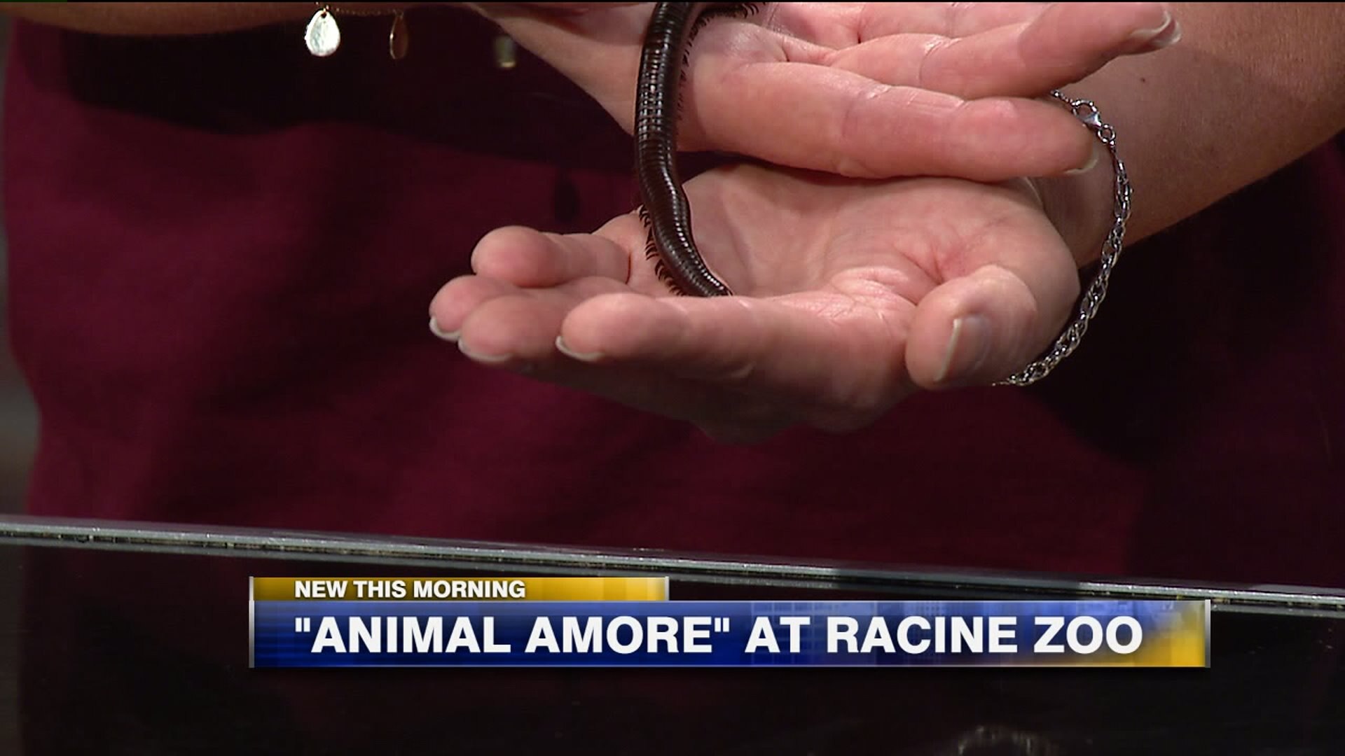 Racine Zoo