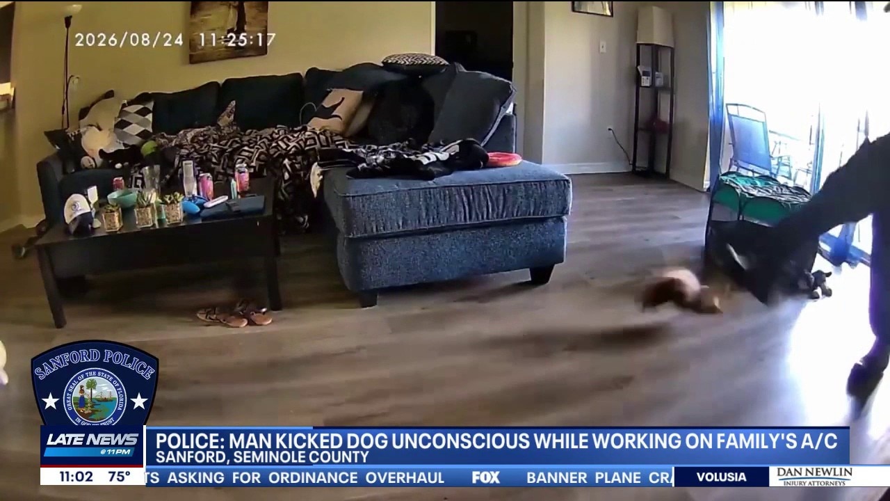 HVAC worker accused of kicking 5-pound Chihuahua unconscious