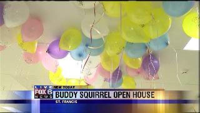 Buddy Squirrel open house