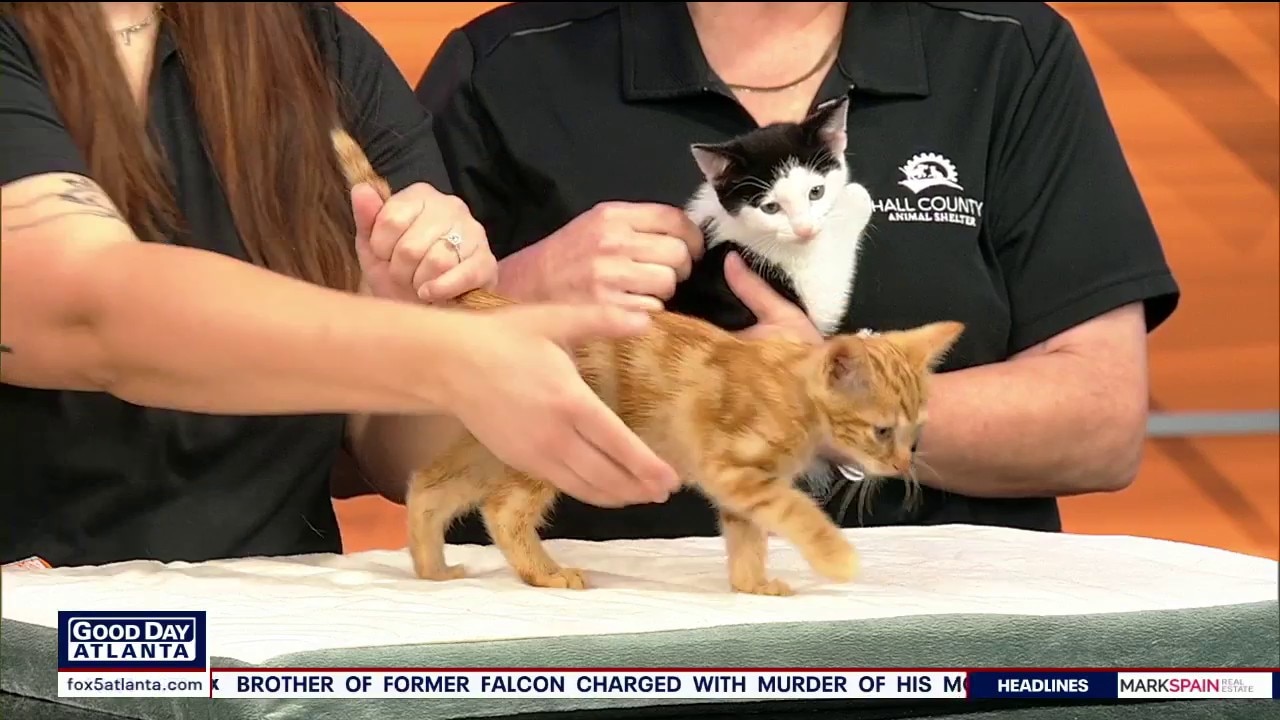 Pet of the day: Titus & Brendan