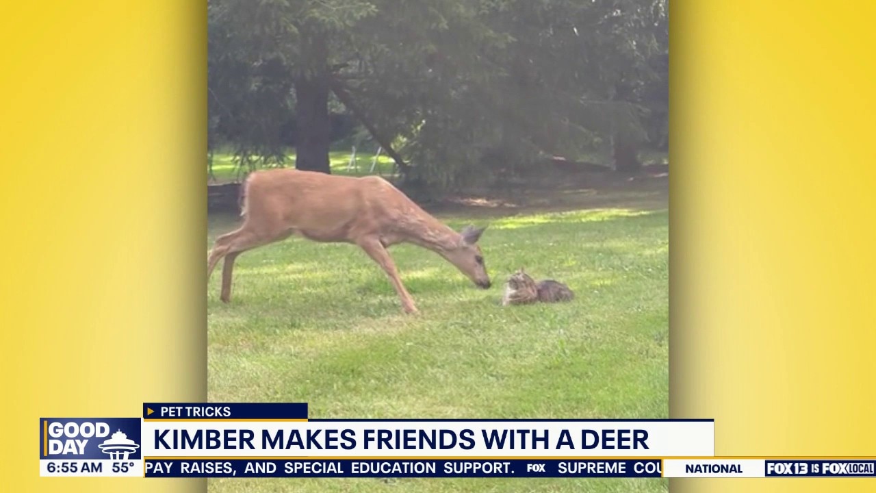 Good Day Pet Tricks for Tuesday, Sept. 15