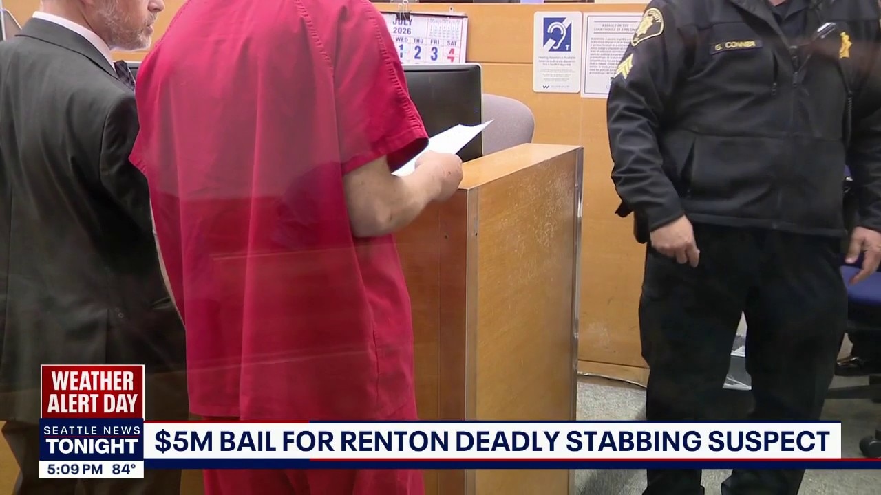 Renton deadly stabbing suspect appears in court