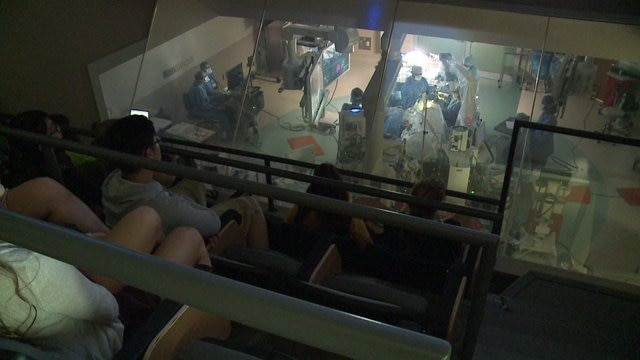 "It is nothing like I imagined:" Brookfield students get an up-close look at the human brain