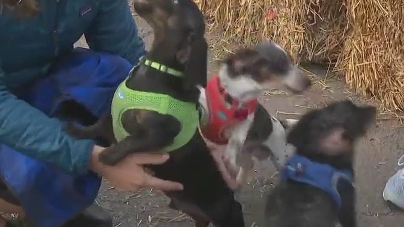 Indoor Pop-Up Biergarten