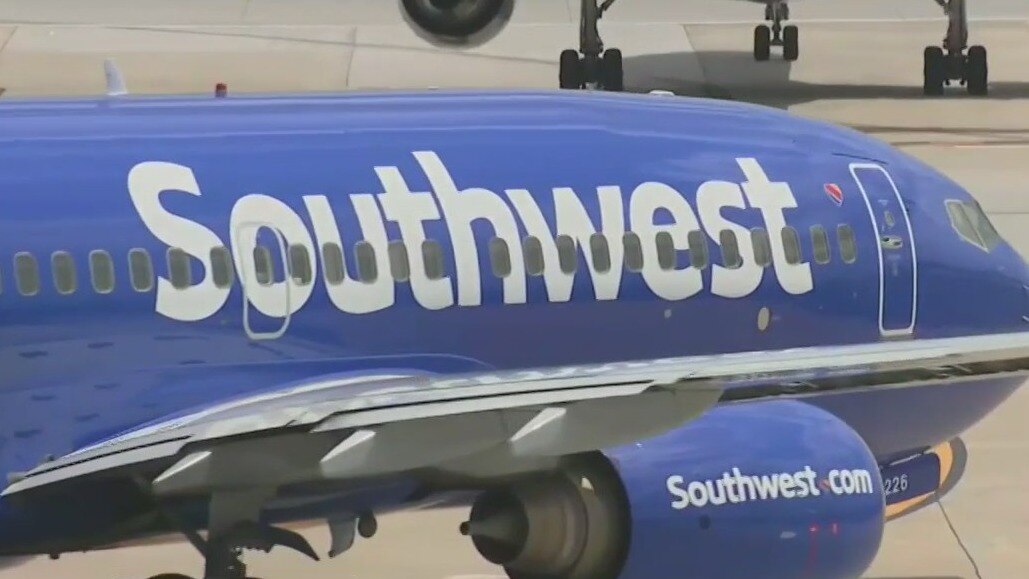 Fake inspection certificates: 100+ planes grounded