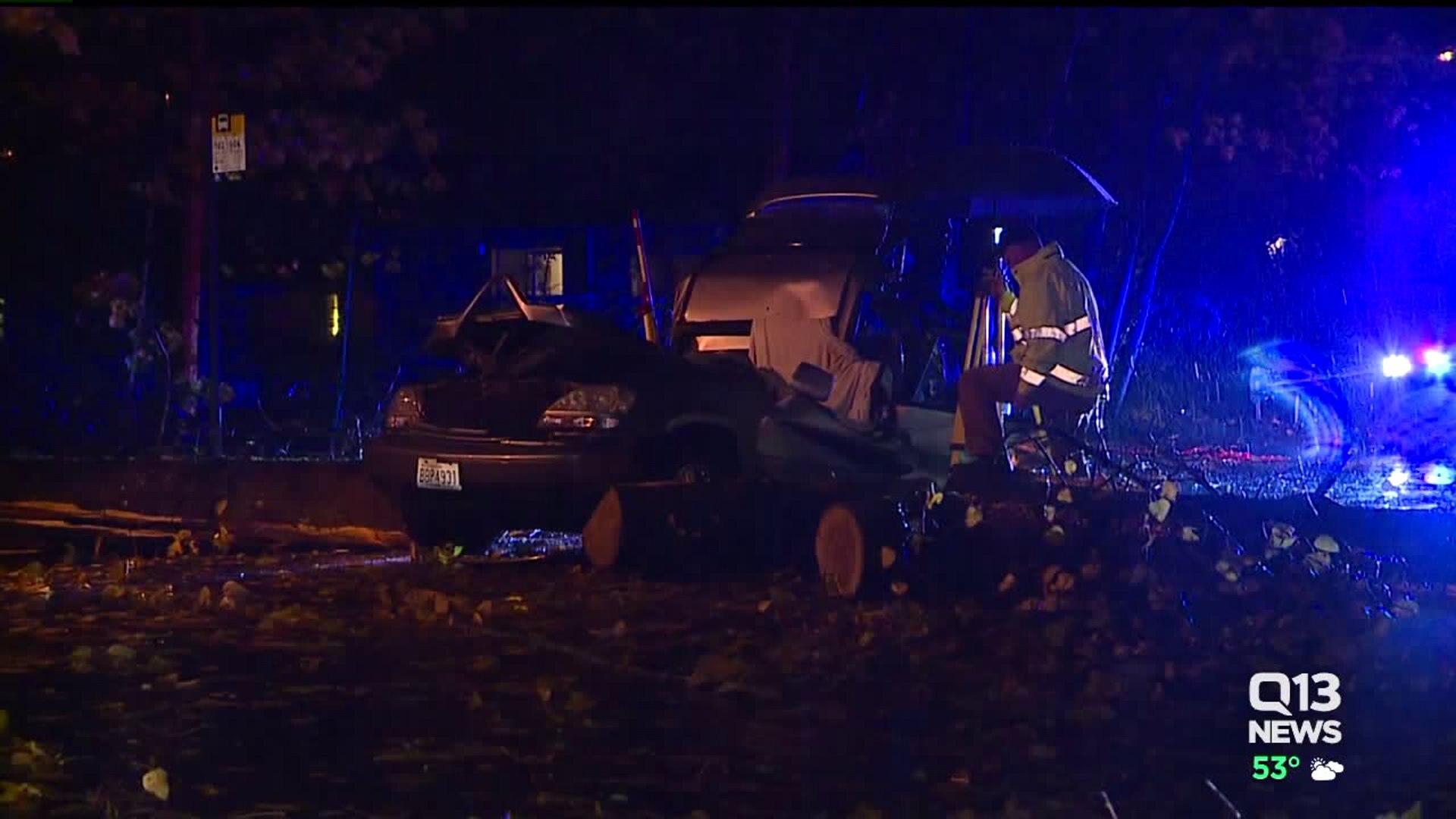 Neighbors describe coming upon tree-crash victims