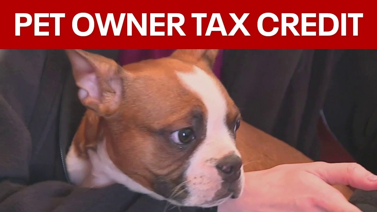 New Jersey pet owners could get a tax credit under proposed bill