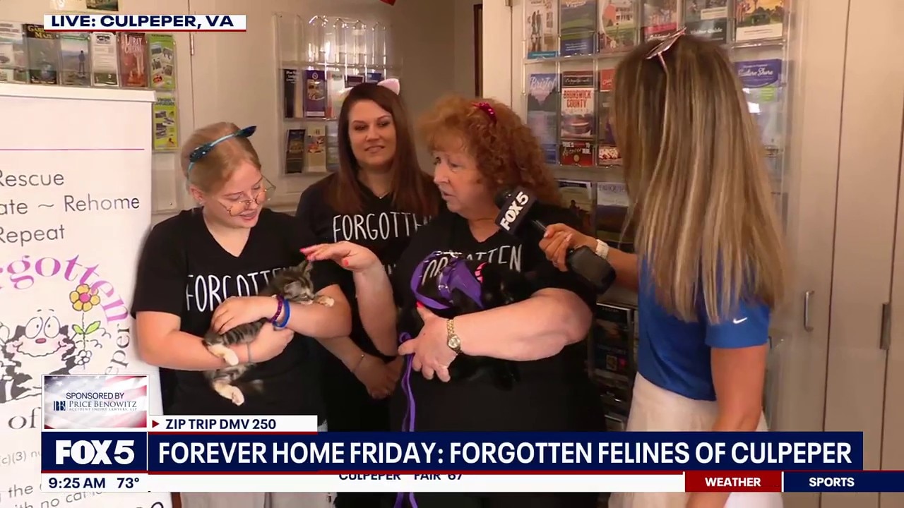 Forever Home Friday: Forgotten Felines of Culpeper