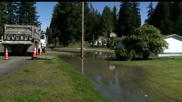 Sewage flood claims