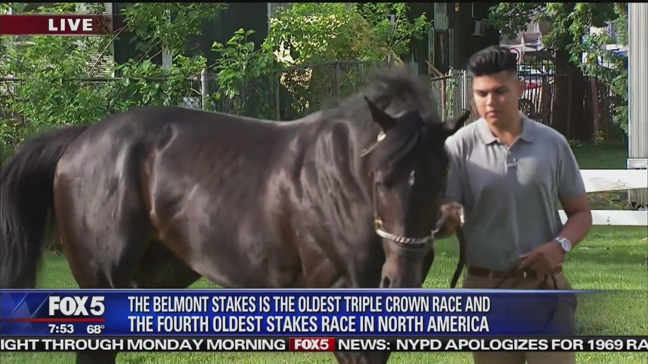 Preview of 151st Belmont Stakes