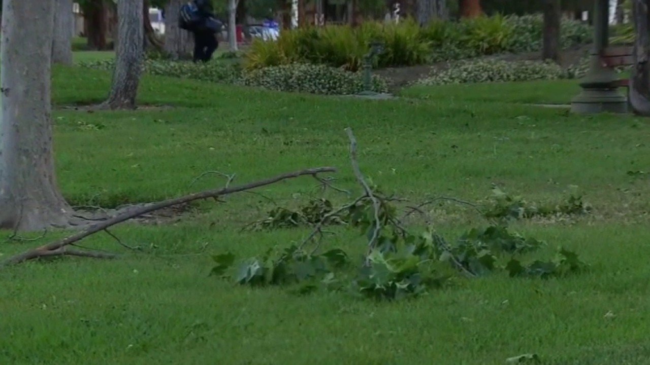 High winds, falling trees kill 2 in Bay Area