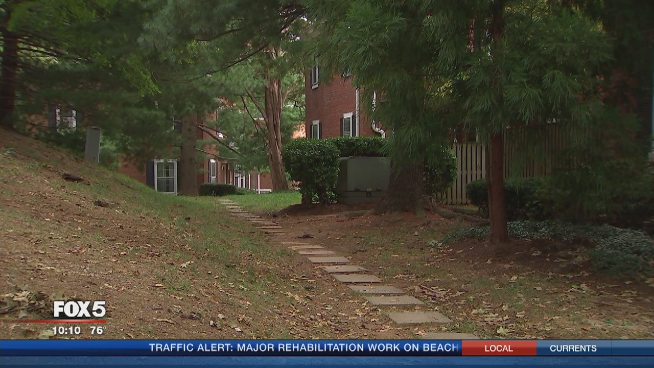 Arlington woman attacked by raccoons in her backyard