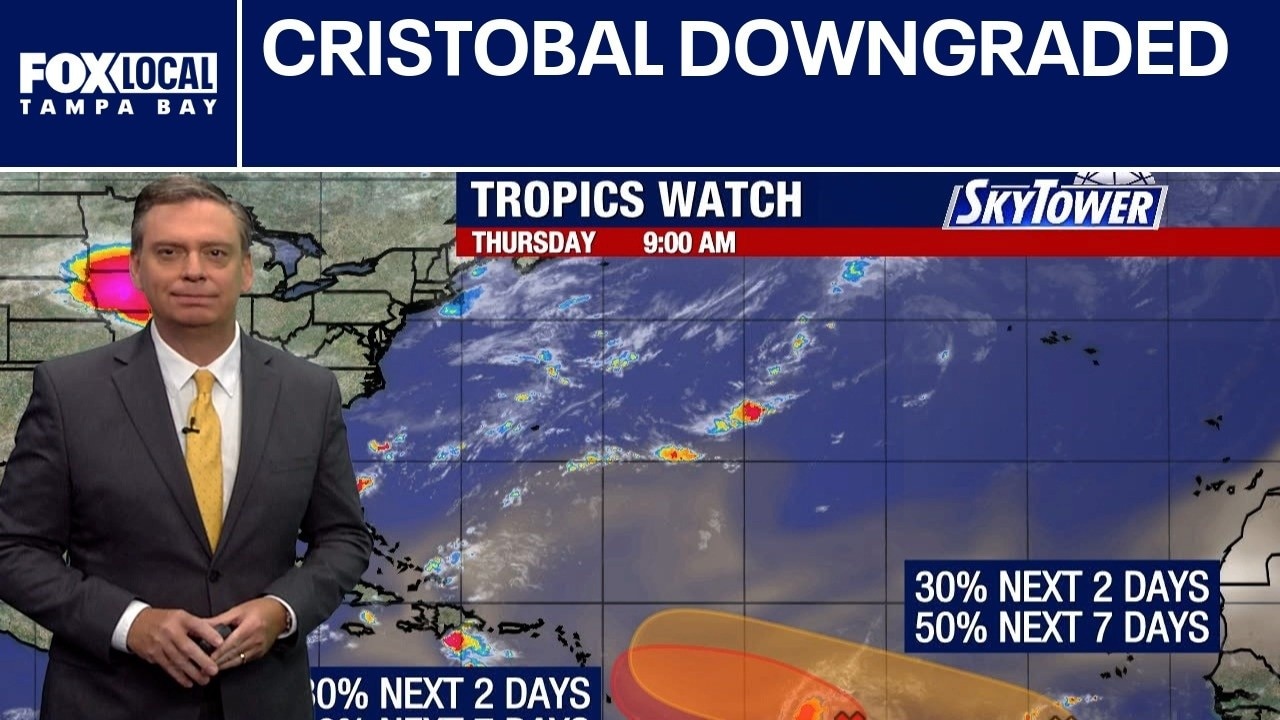 Cristobal downgraded