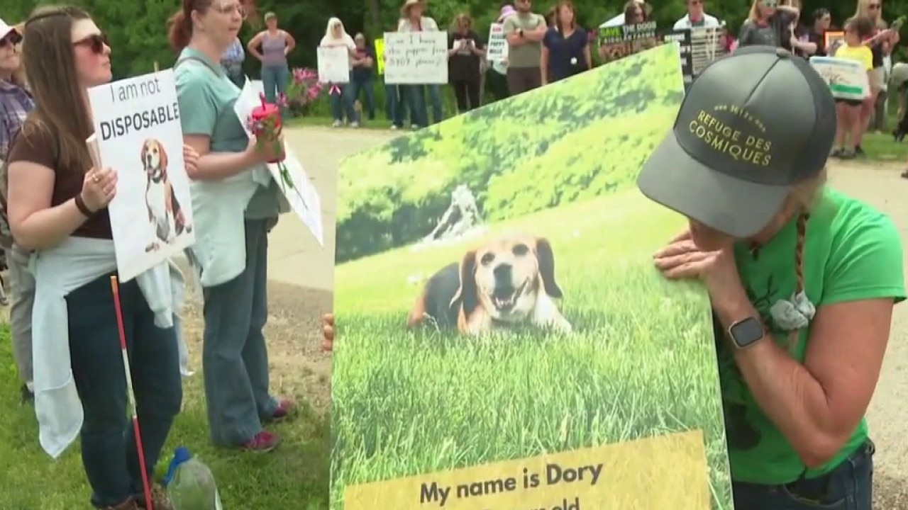 Ridglan Farms protest for remaining dogs