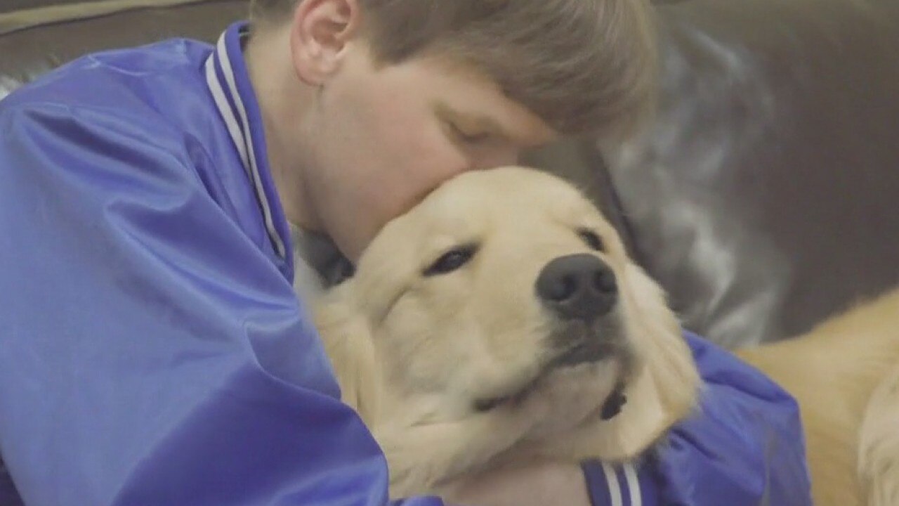 Impact of service dogs