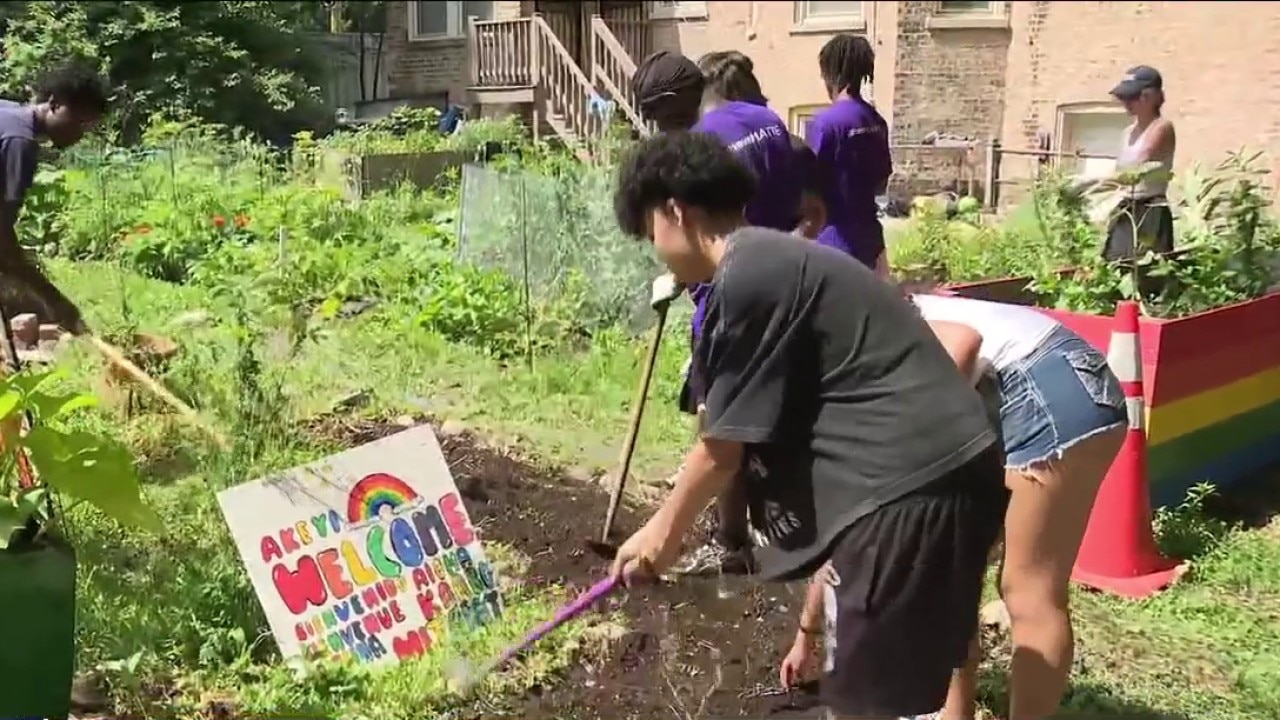 Despite the heat, Chicago teens are still getting involved in nature