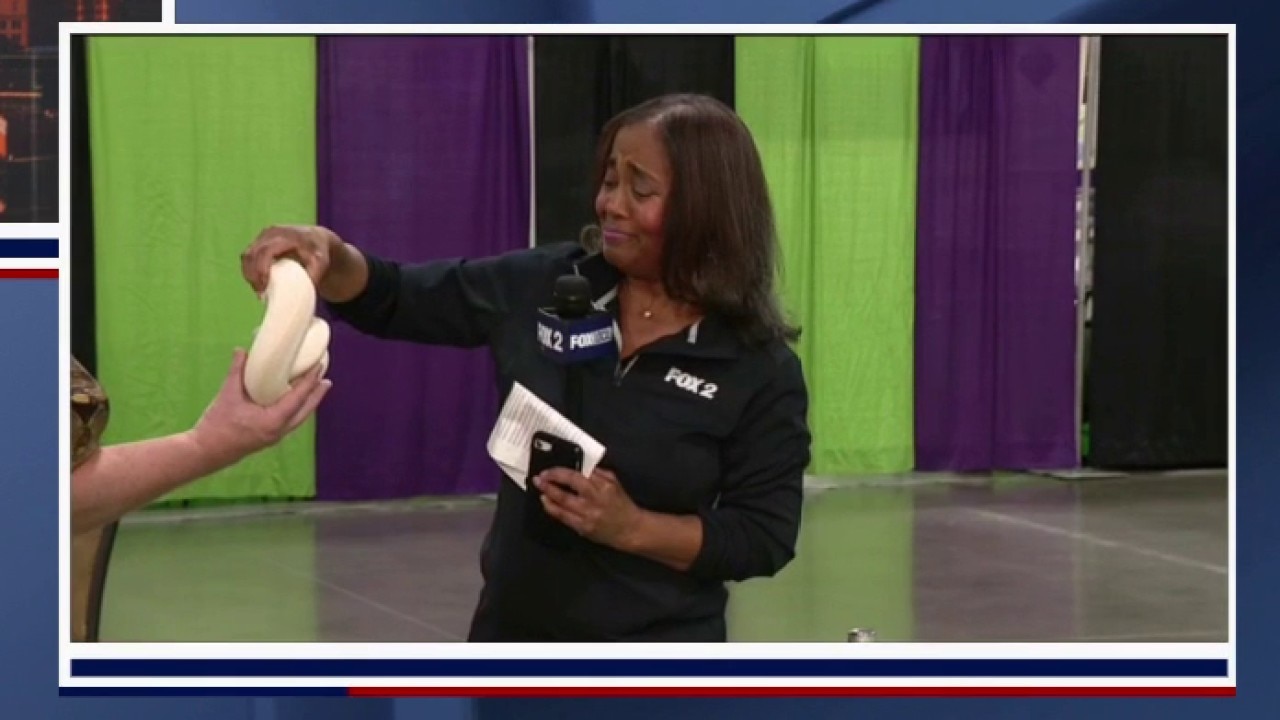 FOX 2's Ingrid Kelley gets a lesson on snakes