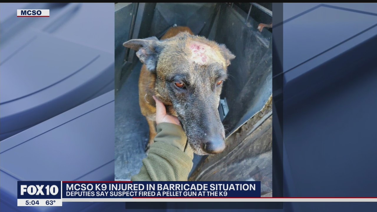 MCSO: K-9 injured during barricade situation in the West Valley