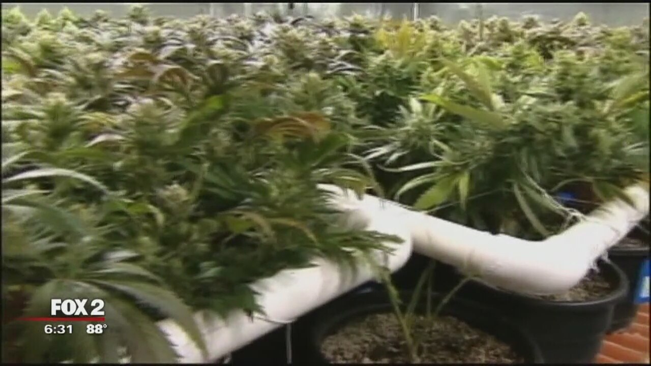 Marijuana legalization vote in Michigan expected next week