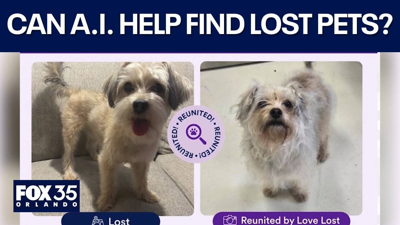 Can A.I. tech help reunite missing Central Fla. pets?