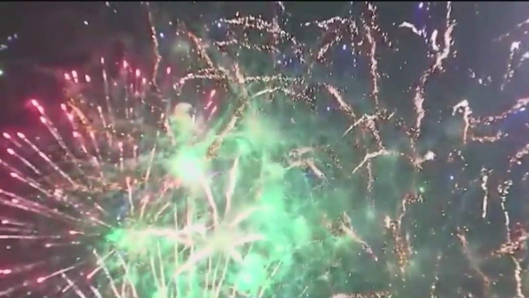 Pets and fireworks do not mix: Tip to help prepare