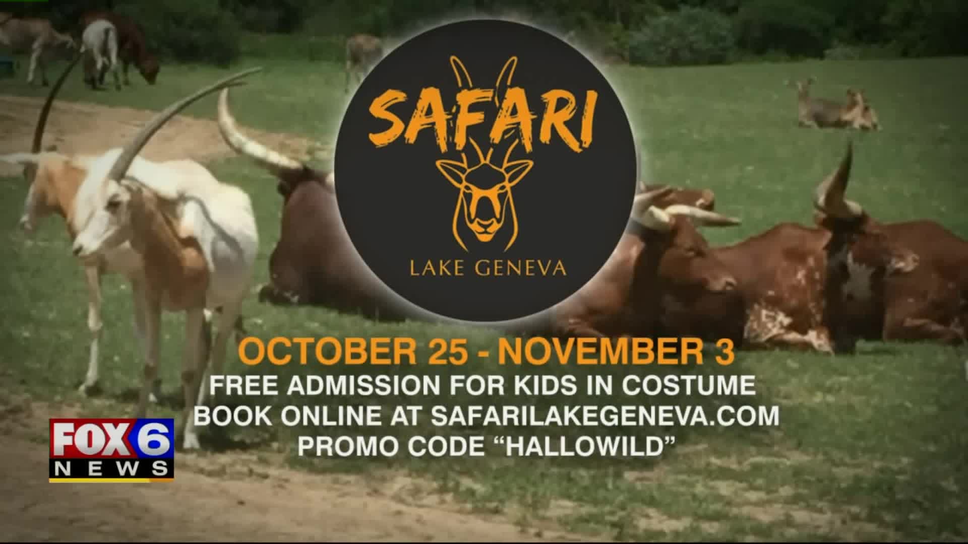 Safari Lake Geneva
