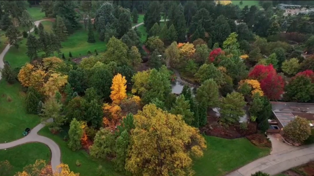 When to see the best fall colors in the Chicago area