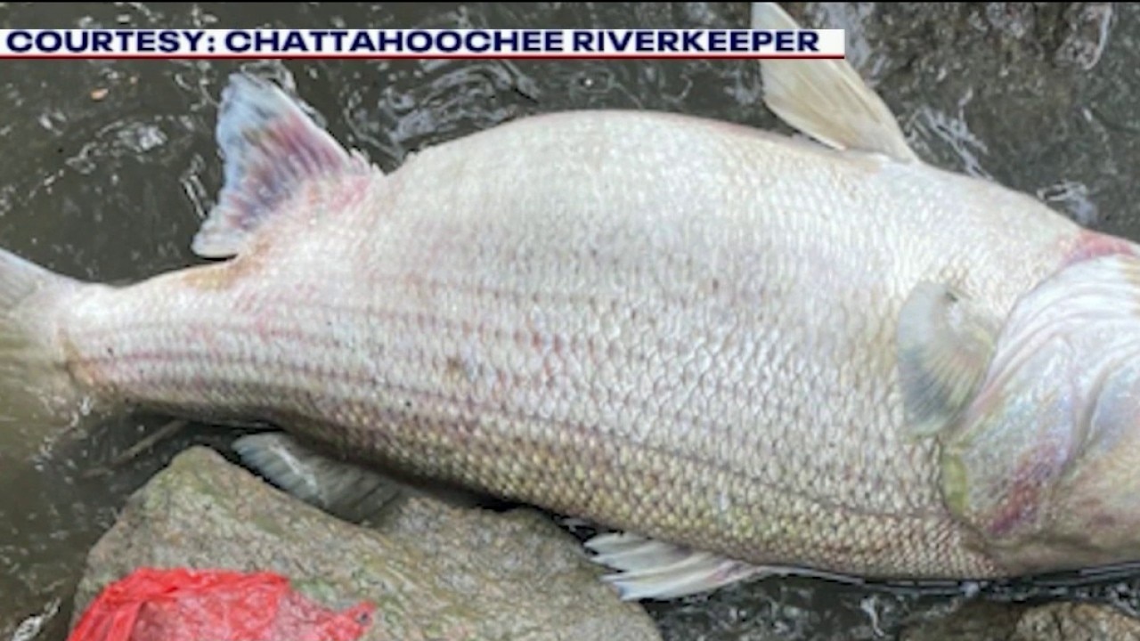 Chattahoochee River kill zone spans 20 miles